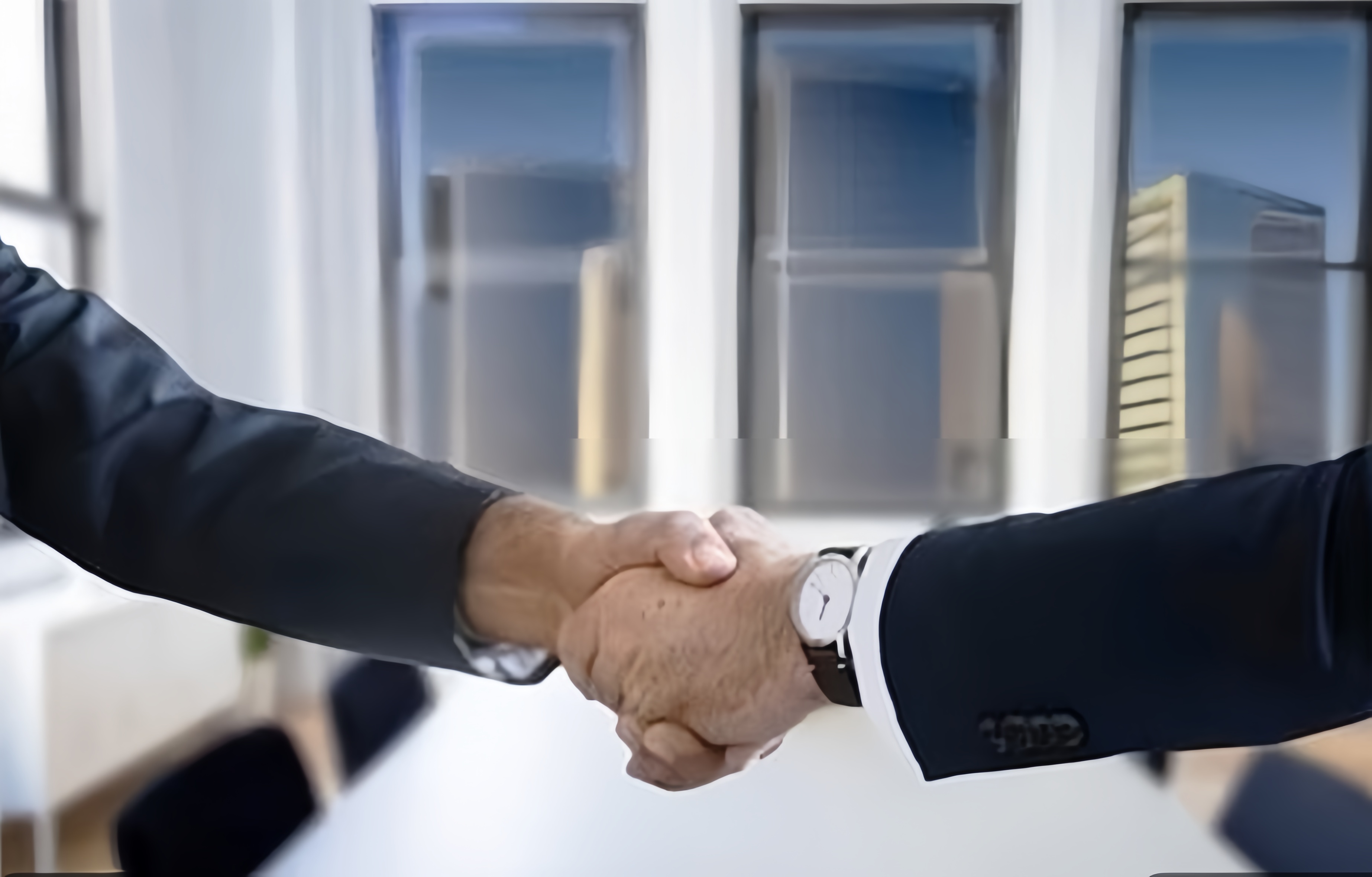 Welcome our new Swedish customer to visit